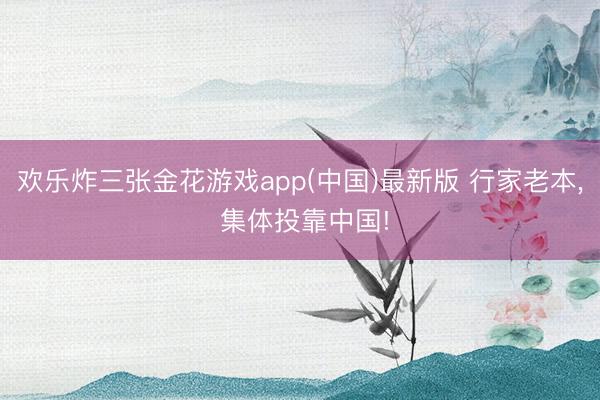 欢乐炸三张金花游戏app(中国)最新版 行家老本, 集体投靠