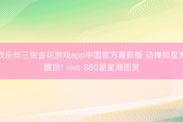 欢乐炸三张金花游戏app中国官方最新版 动掸如星海醒目! vivo S60星星海图赏