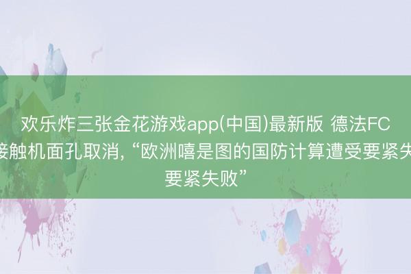 欢乐炸三张金花游戏app(中国)最新版 德法FCAS接触机面孔取消， “欧洲嘻是图的国防计算遭受要紧失败”