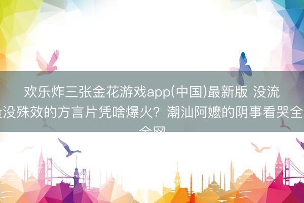 欢乐炸三张金花游戏app(中国)最新版 没流量没殊效的方言片凭啥爆火?潮汕阿嬷的阴事看哭全网